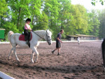 Evelien